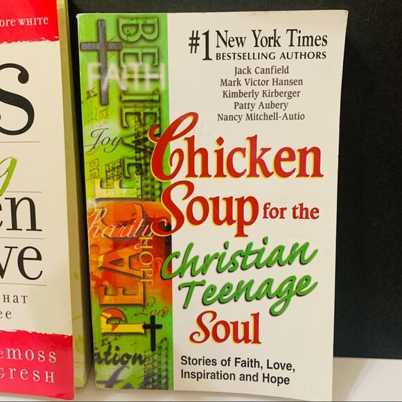 Book Bundle Lies Young Women Believe Chicken Soup for the Christian Teenage Soul - Picture 3 of 12